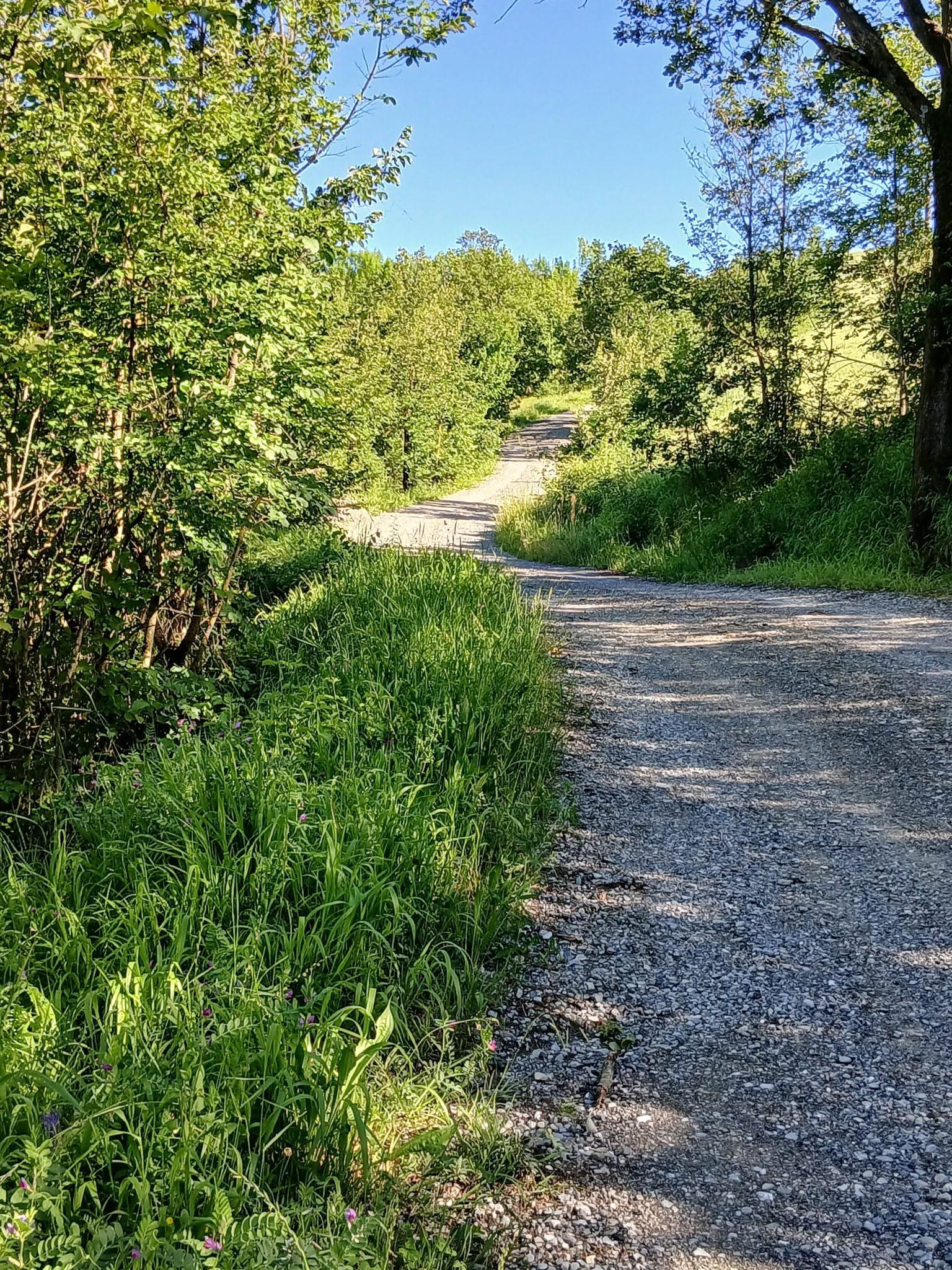 Sentiero nella natura della Val d’Arda, dove si trova lo spazio Montessori di Giada Mazzetti